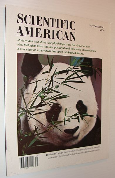 Image for Scientific American Magazine, November 1987 Scientific American Magazine, November 1987