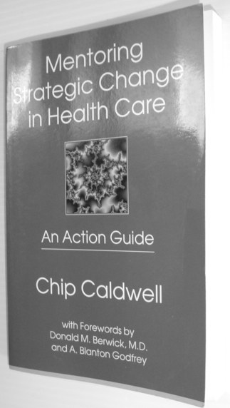 Image for Mentoring Strategic Change in Healthcare : An Action Guide Mentoring Strategic Change in Healthcare : An Action Guide