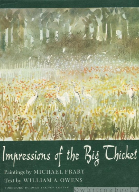 Image for Impressions of the Big Thicket (Number 4, Blaffer Series of Southwestern Art) Impressions of the Big Thicket (Number 4, Blaffer Series of Southwestern Art)