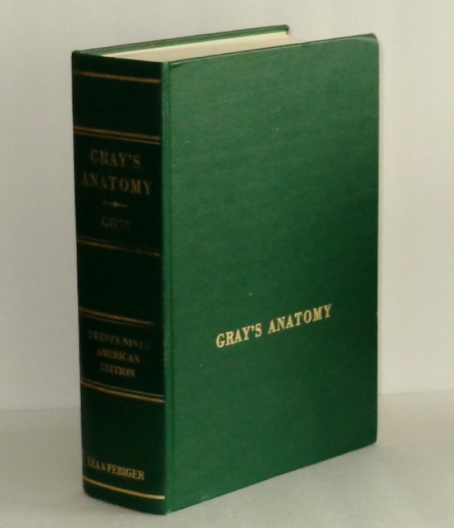 Image for Anatomy of the Human Body, Twenty-Ninth American Edition Anatomy of the Human Body, Twenty-Ninth American Edition