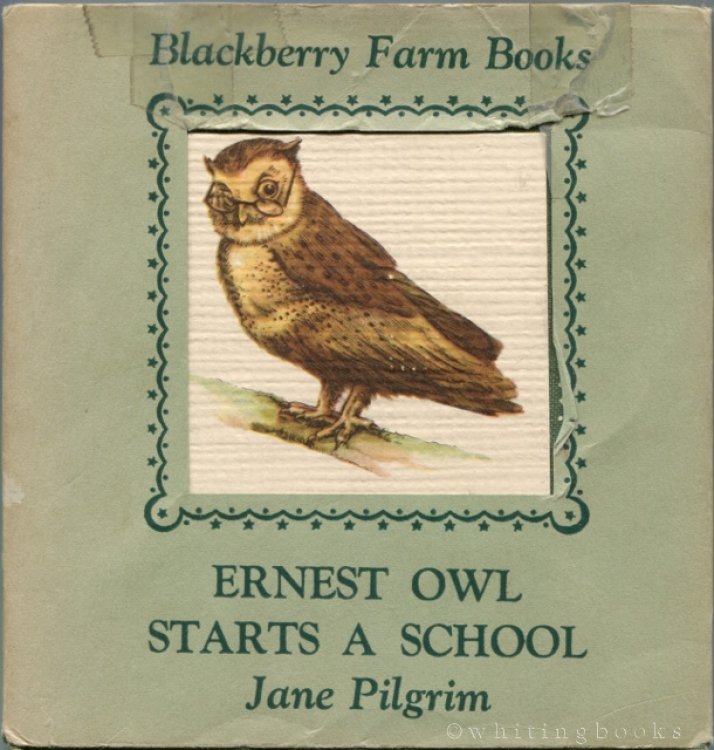 Image for Ernest Owl Starts a School Ernest Owl Starts a School