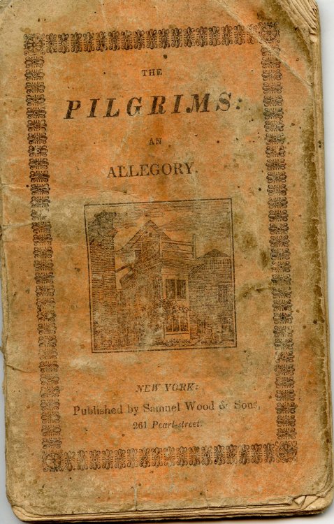 Image for The Pilgrims: An Allegory The Pilgrims: An Allegory